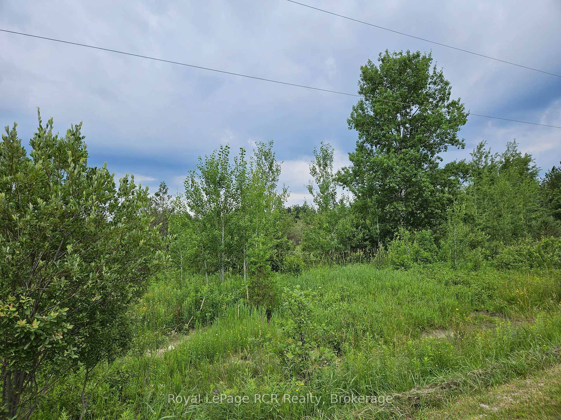 Property Photo:  Ptl 17 Southgate 13 Side Road  ON N0C 1B0 