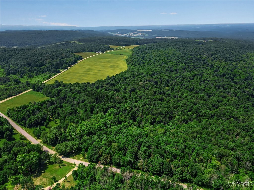Property Photo: 00 Snake Run Road NY 14729