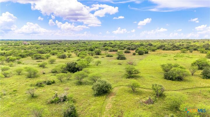 Property Photo:  1780 Nursery Drive  TX 77976 