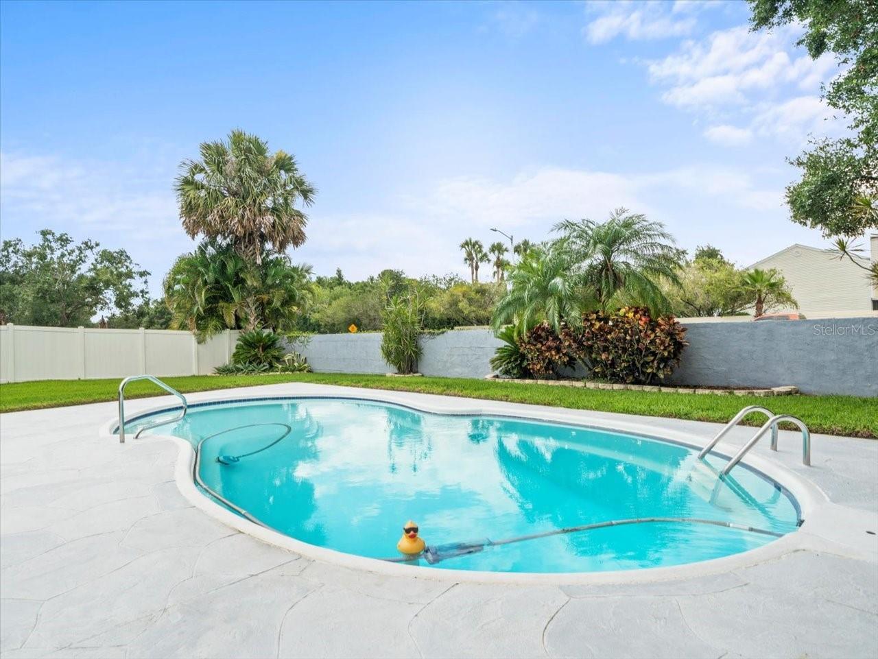 Property Photo: 4313 Hollow Hill Drive FL 33624