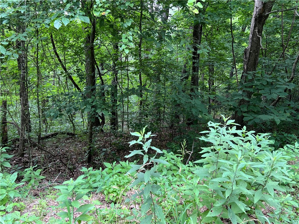 Property Photo:  18 & 19 Hawk Drive  AR 72631 