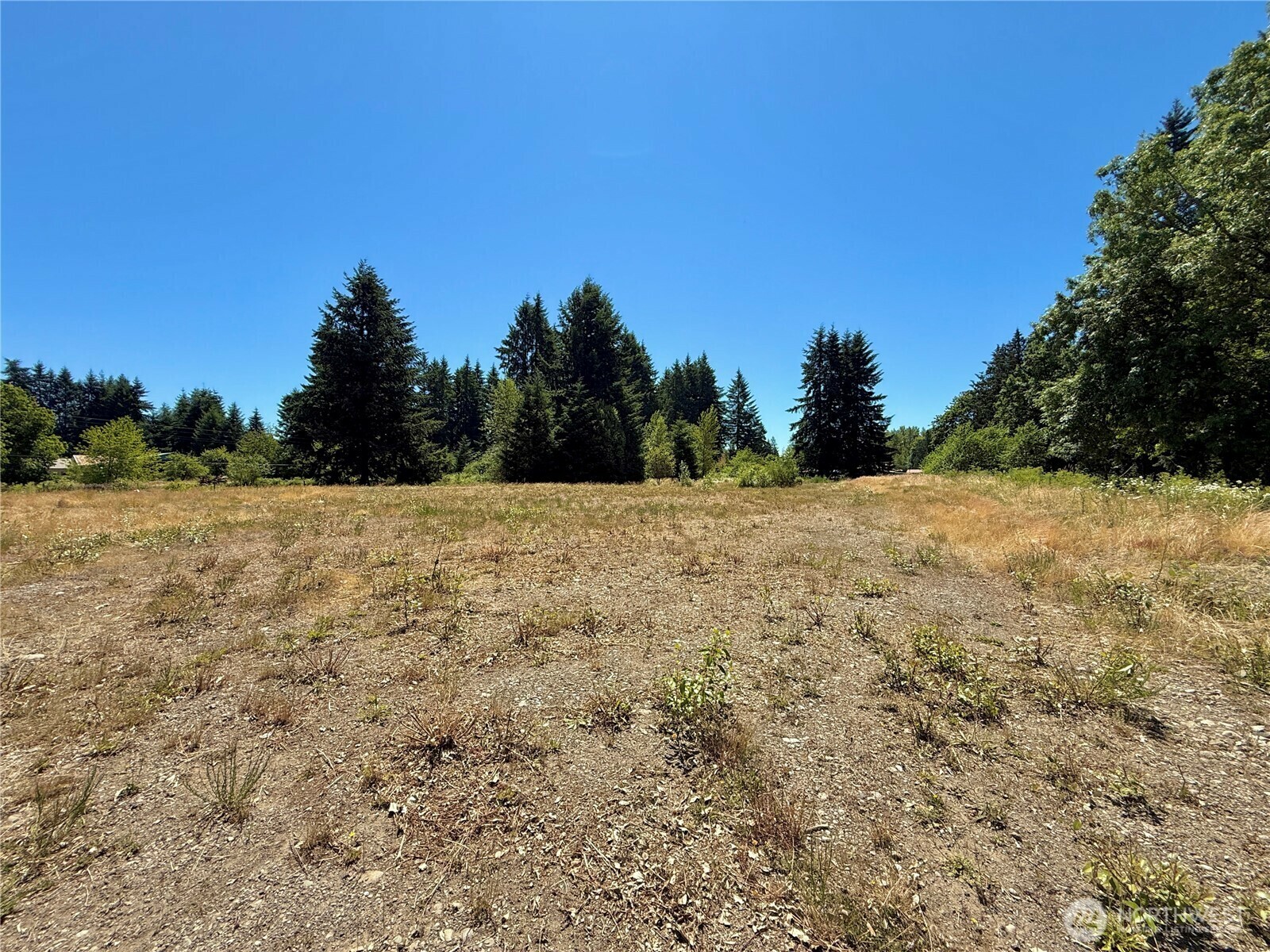 Property Photo: 127 Sawall G WA 98531