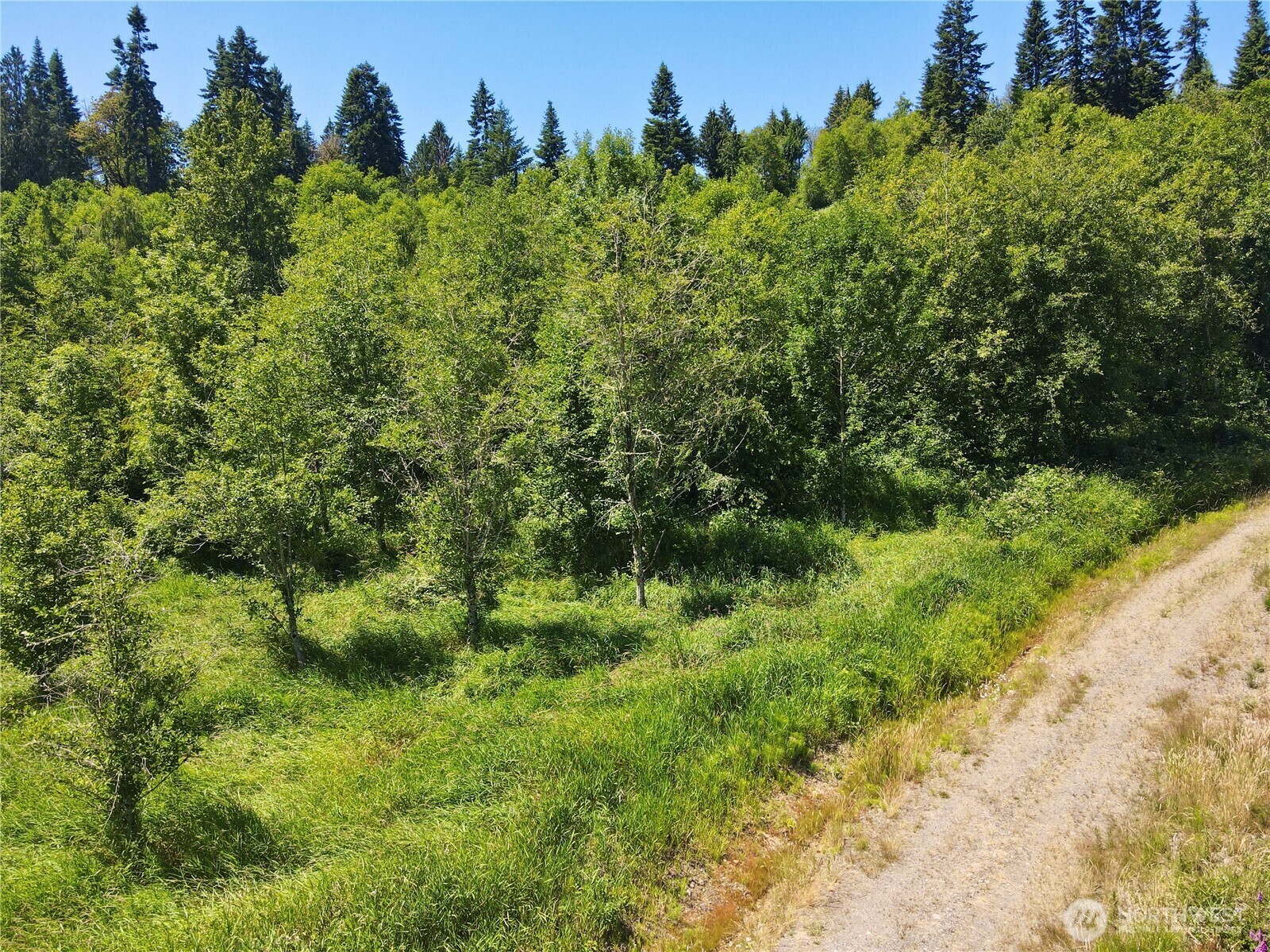 Property Photo: 129 Sawall WA 98531
