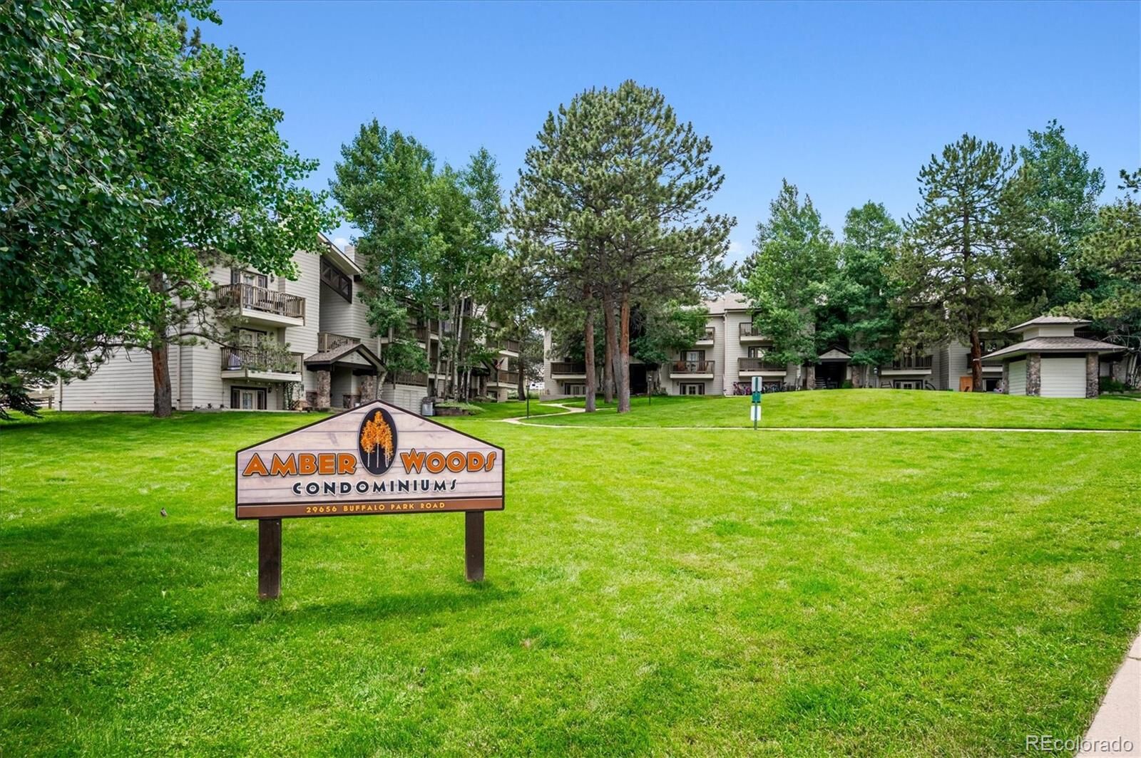 Property Photo:  29656 Buffalo Park Road 208  CO 80439 