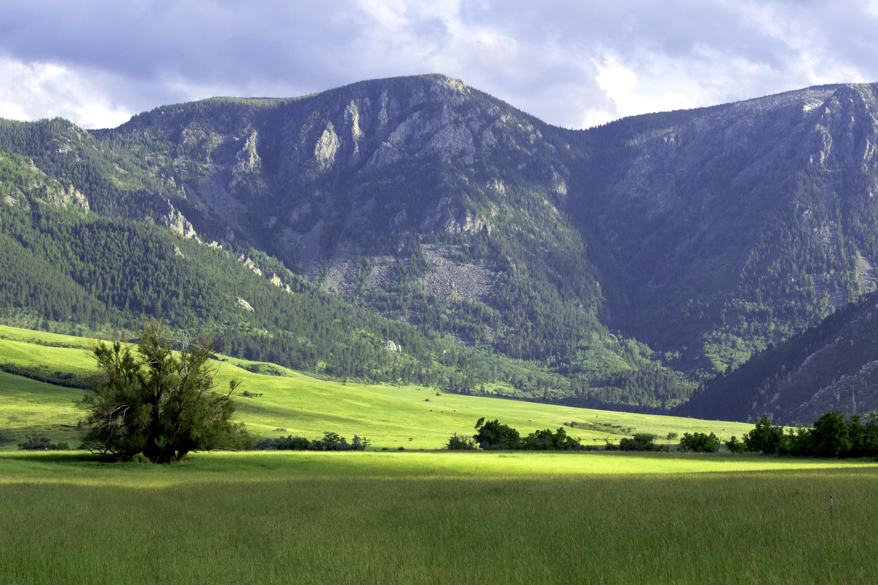 Property Photo: 57 Canyon Ranch Road WY 82833