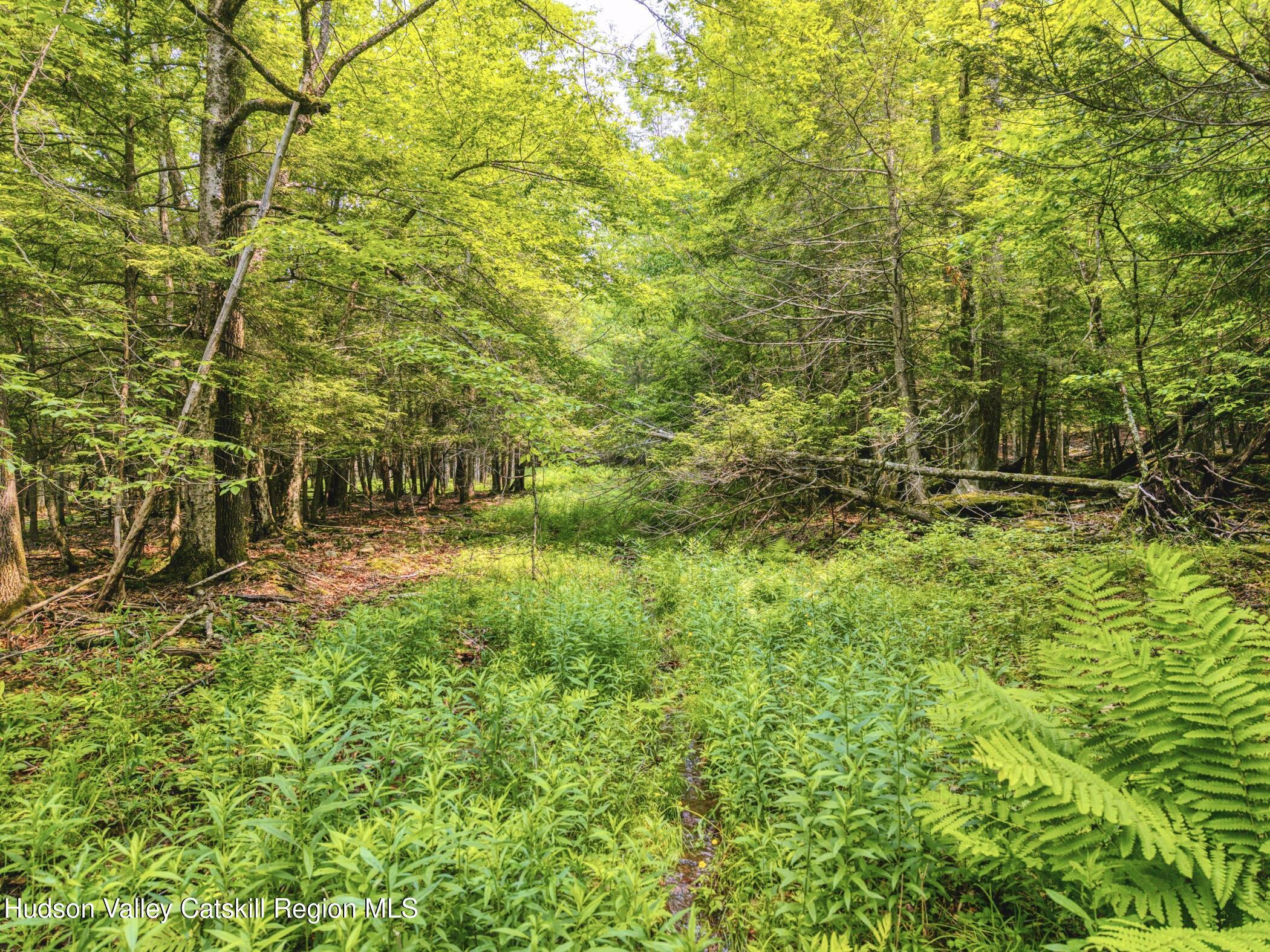 Property Photo: Tbd Boulder Brook Lot 33-38 NY 12496