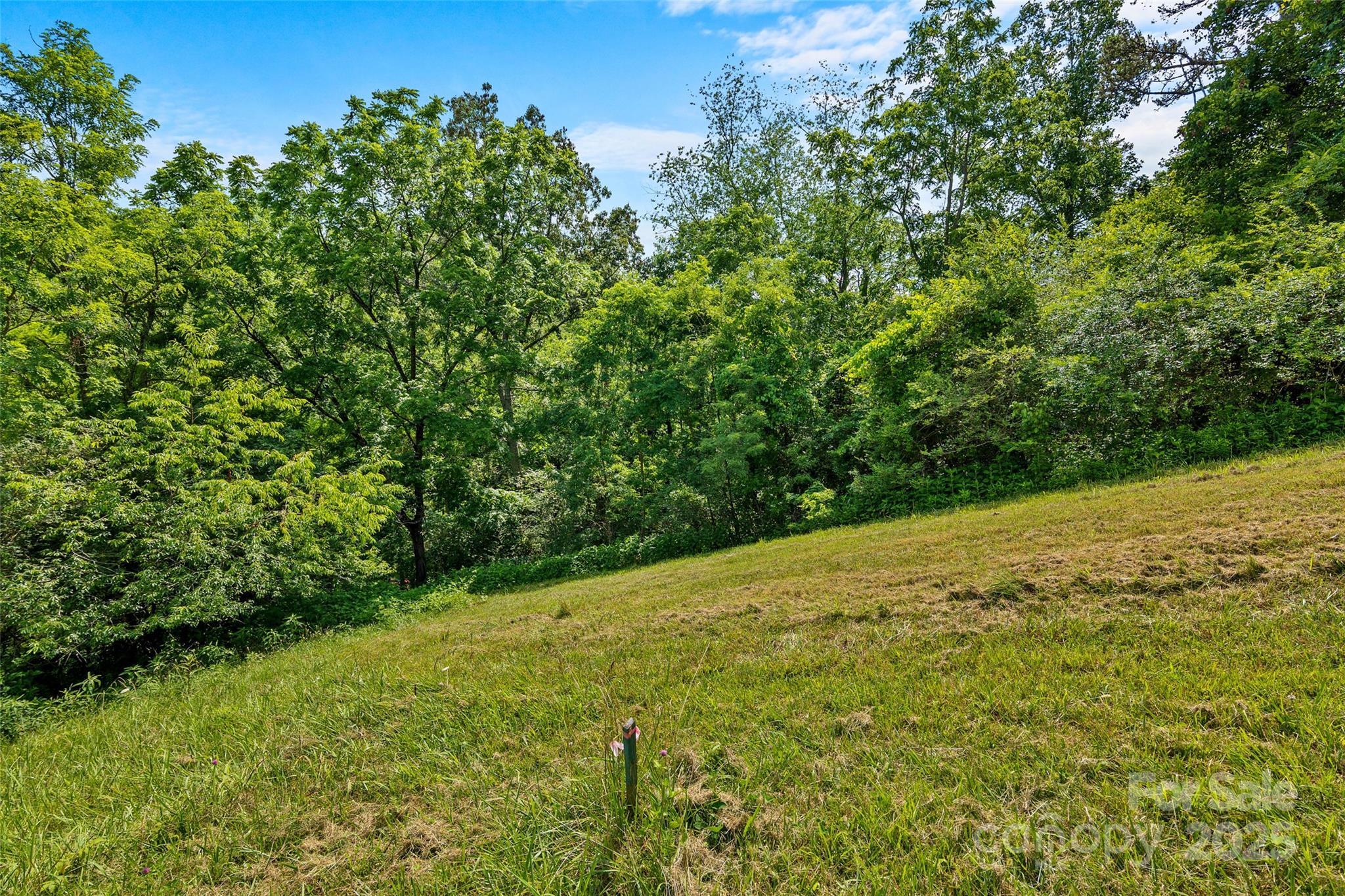 117 Grandview Ridge Drive  Alexander NC 28701 photo