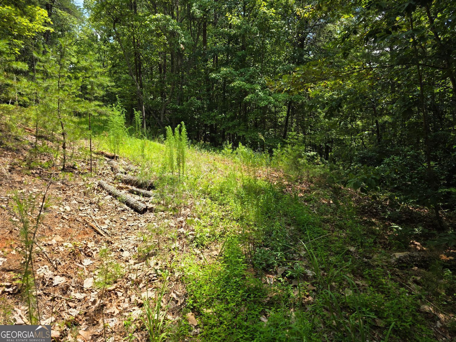 Property Photo: Lot 14 &Amp 6 Bean Creek GA 30571