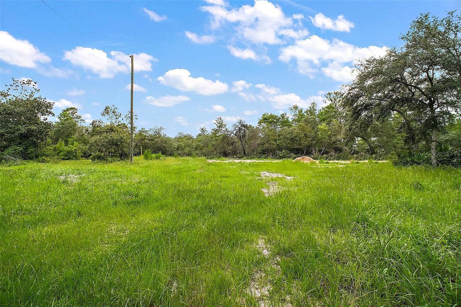 Property Photo:  52151 State Road 19  FL 32702 
