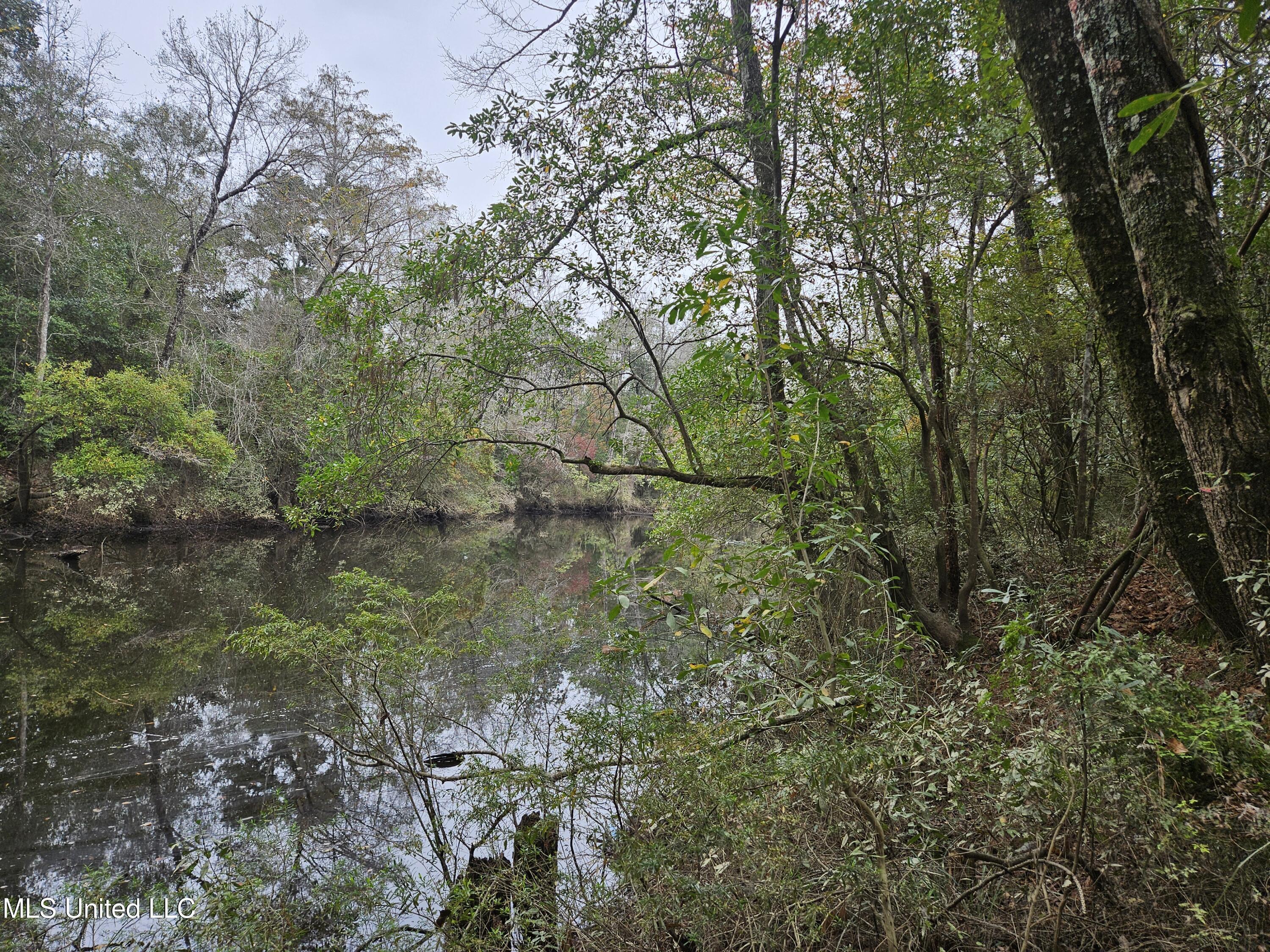 Property Photo: 0 River Road MS 39532