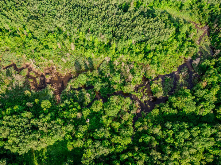 Property Photo:  30659 Townline Road  MI 49953 