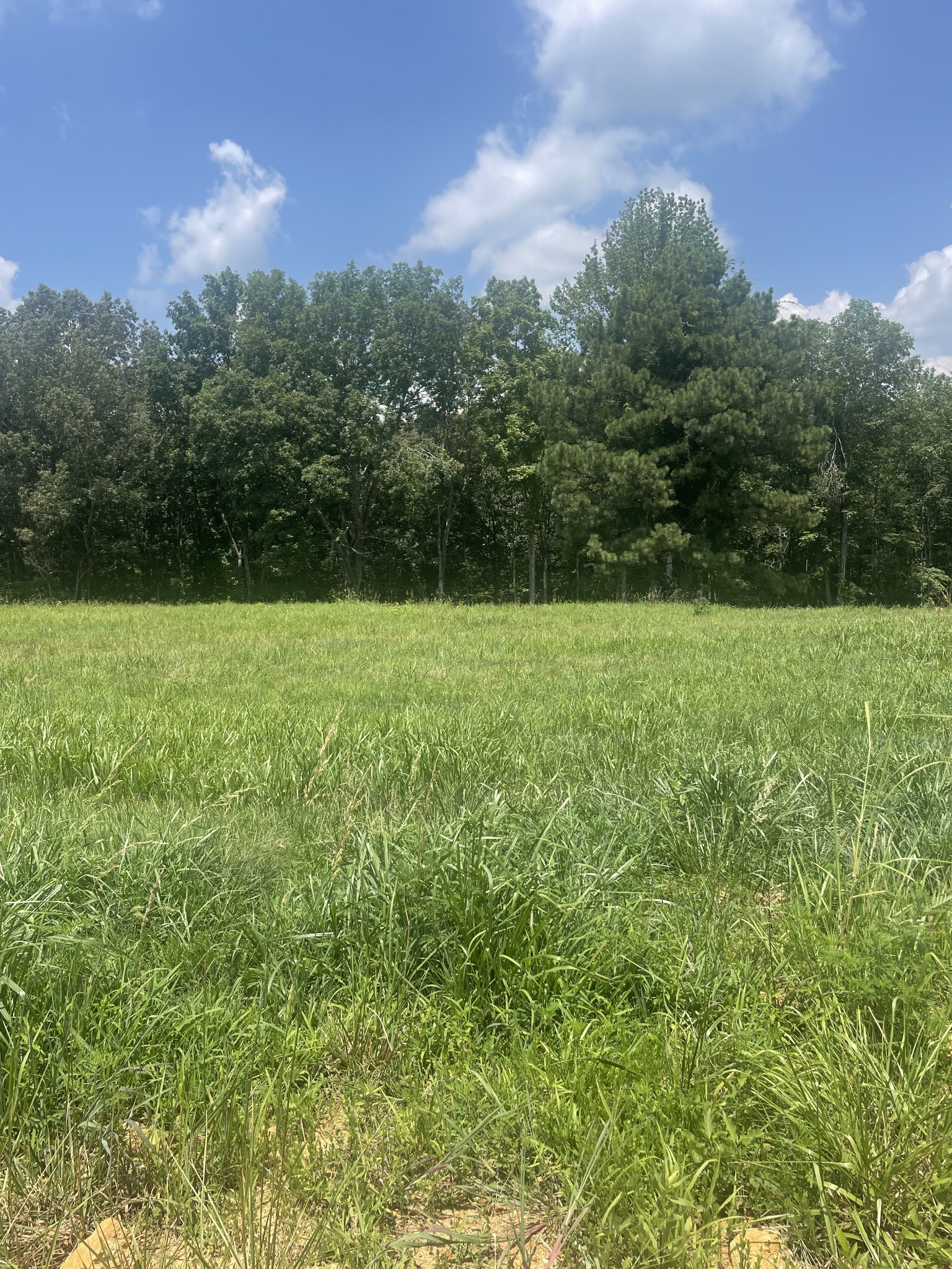 Property Photo: 0 Summerlake Ct TN 37398