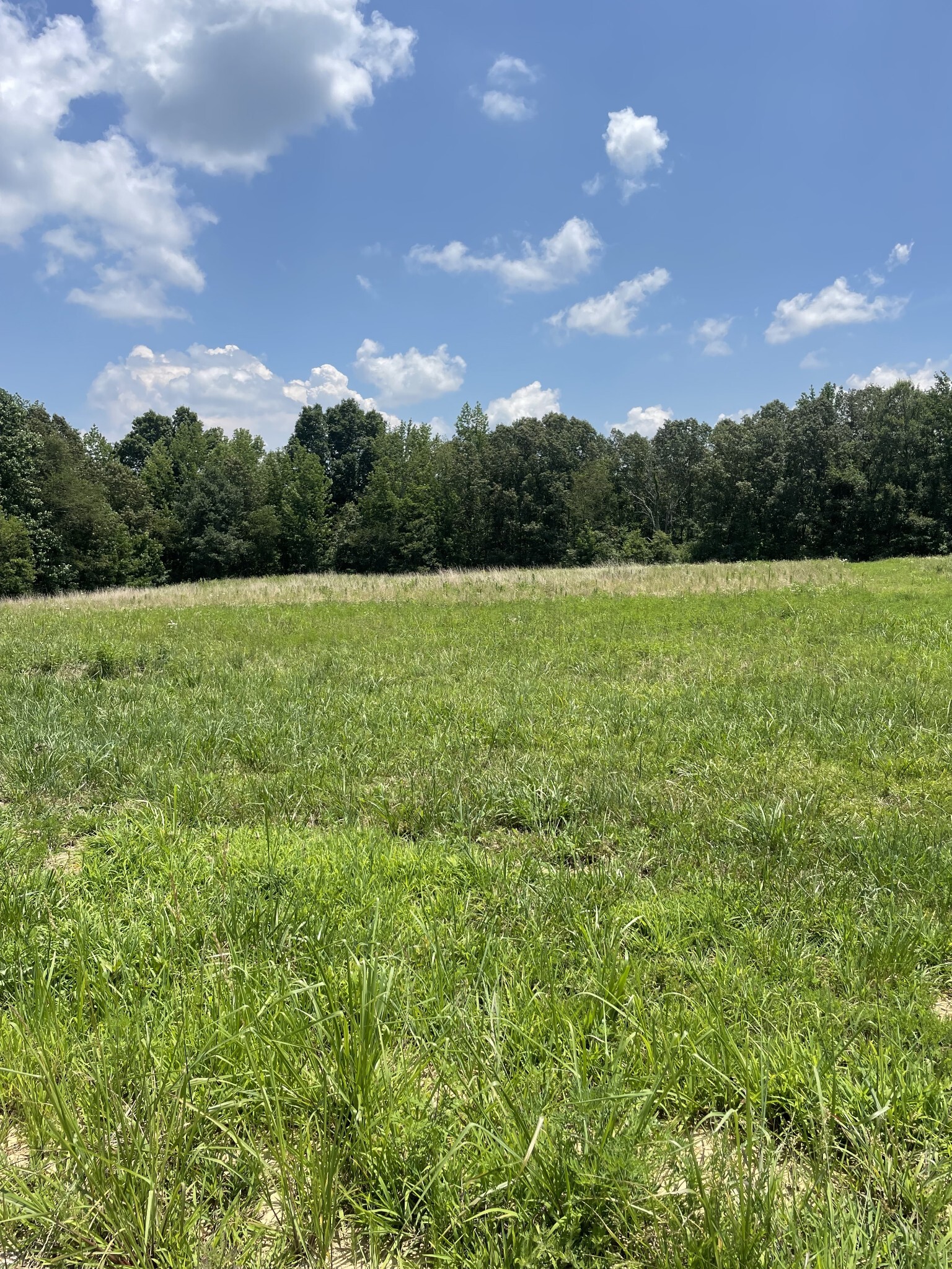 Property Photo: 0 Summerlake Ct TN 37398