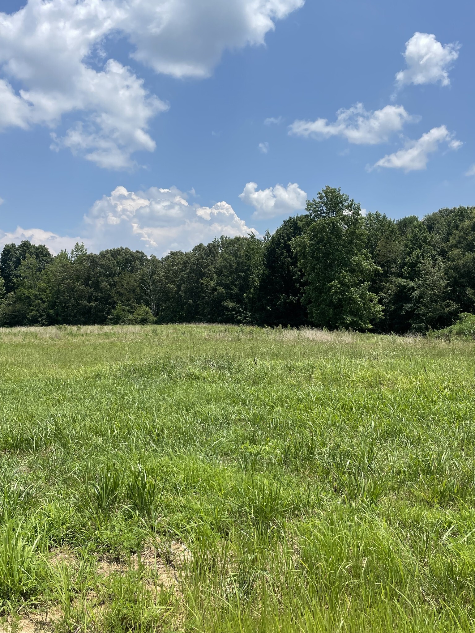 Property Photo: 0 Summerlake Ct TN 37398
