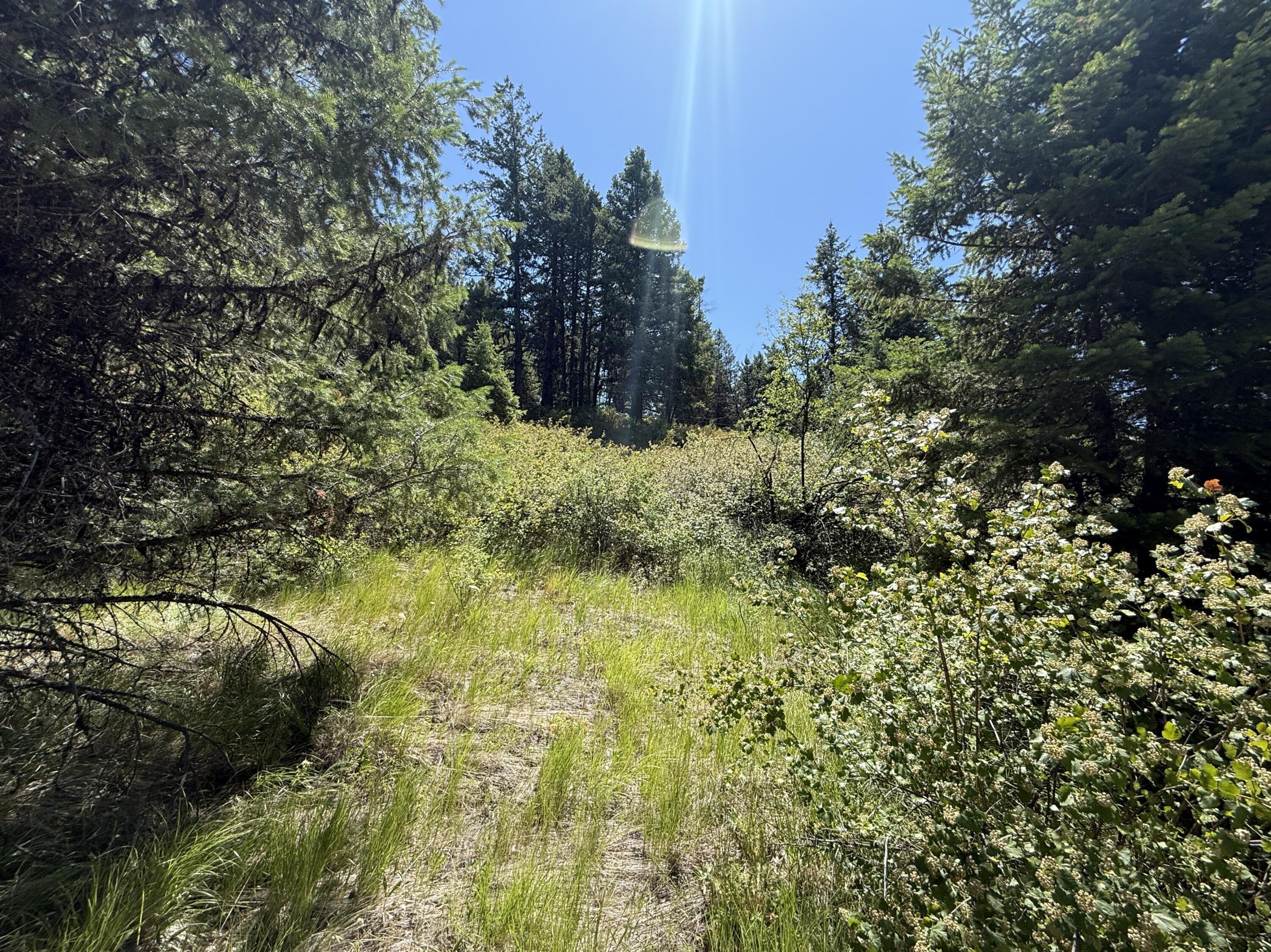 Property Photo: 135 Slippery Hill Ln WA 99166