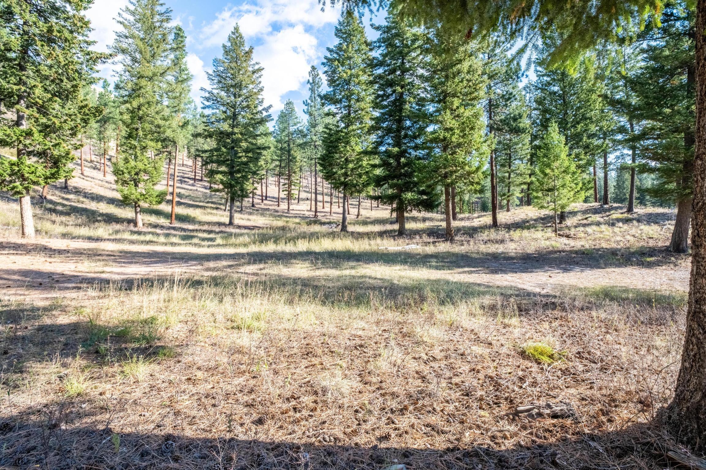 Lot 15 Muddler Court  Clinton MT 59825 photo