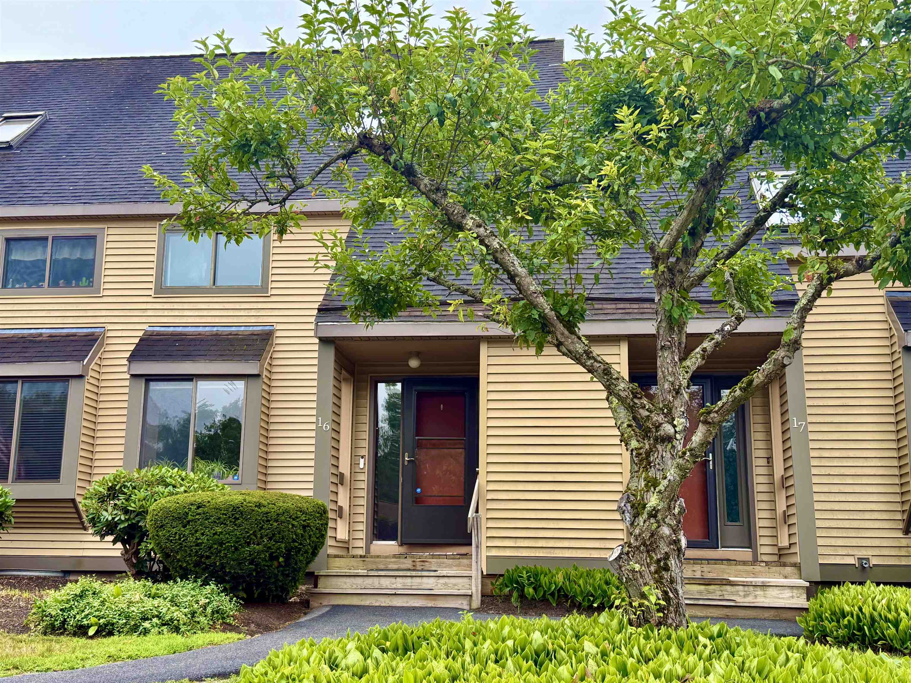 Property Photo: 16 Winchester Court NH 03275