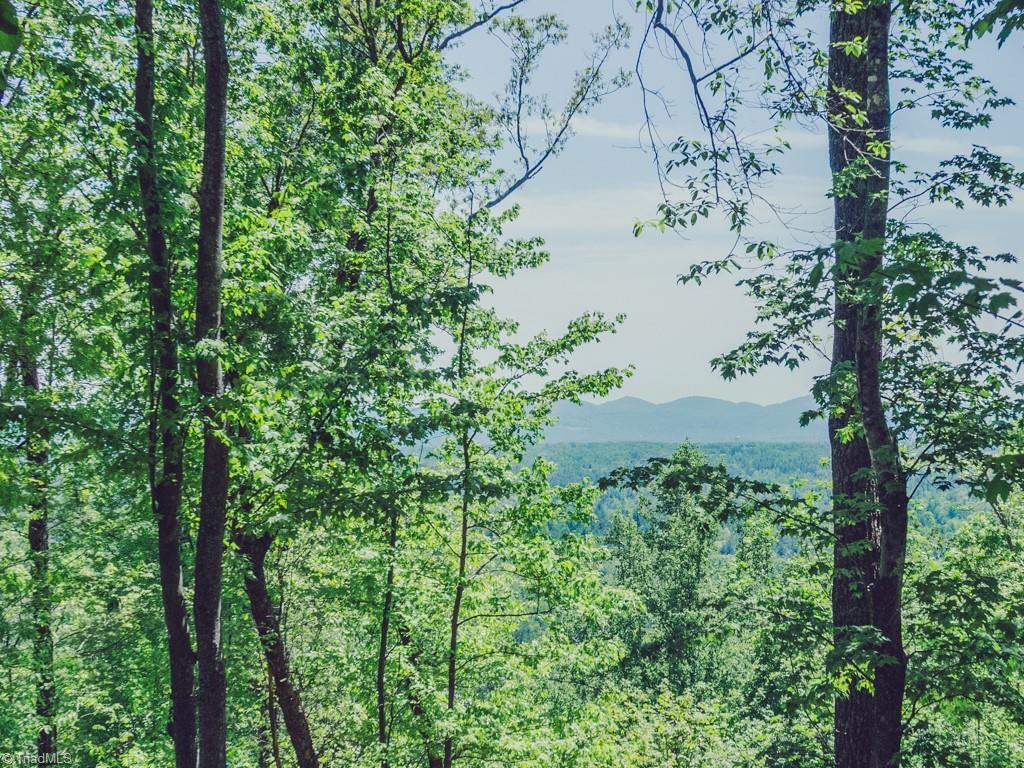 Tbd Hawkins Grove Road  McGrady NC 28649 photo