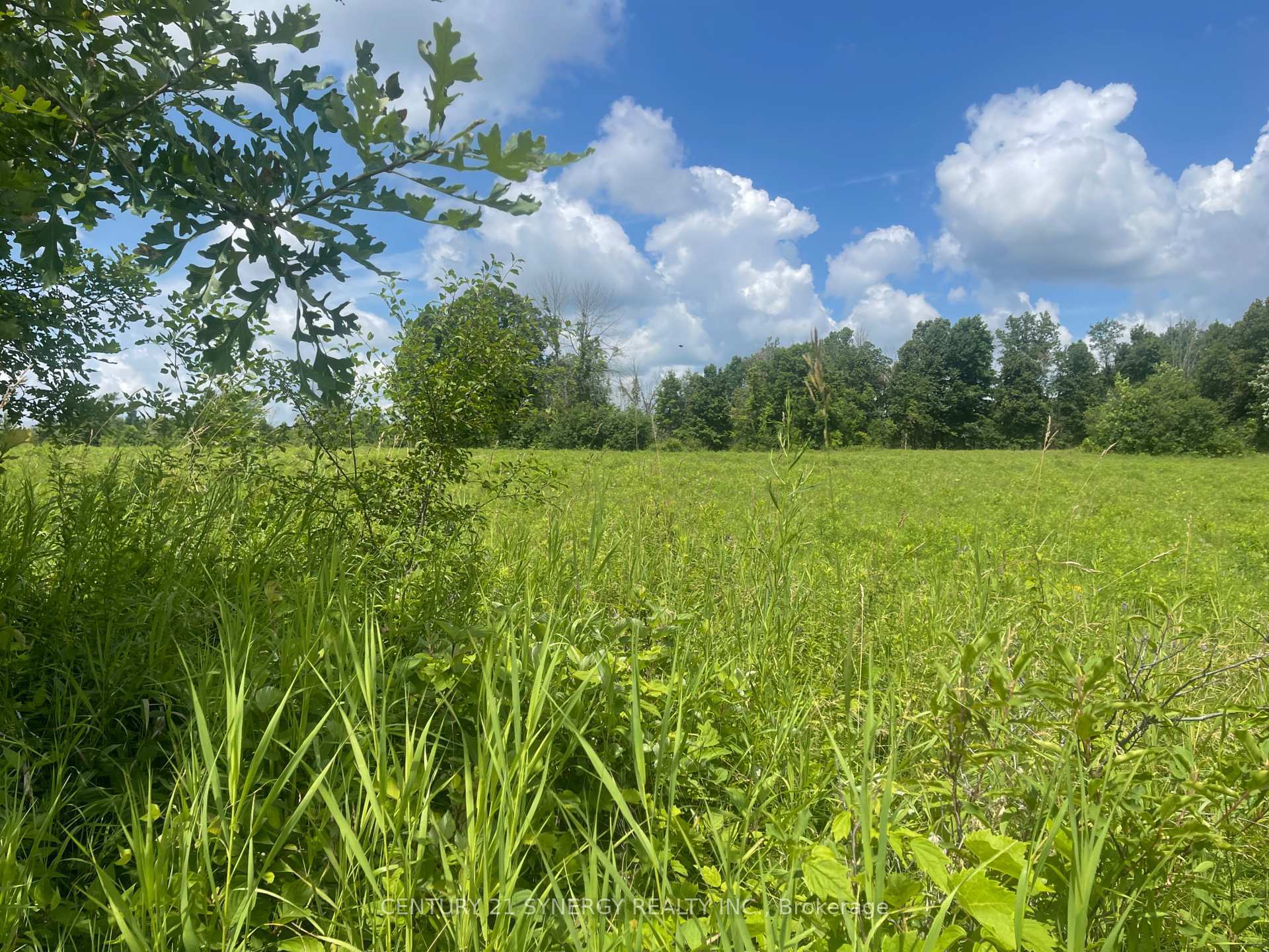 Property Photo:  1222B Matheson Drive E  ON K7A 5B8 