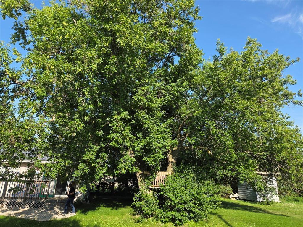 Photo de la propriété:  104 Birch Street  MB R0A 2K0 
