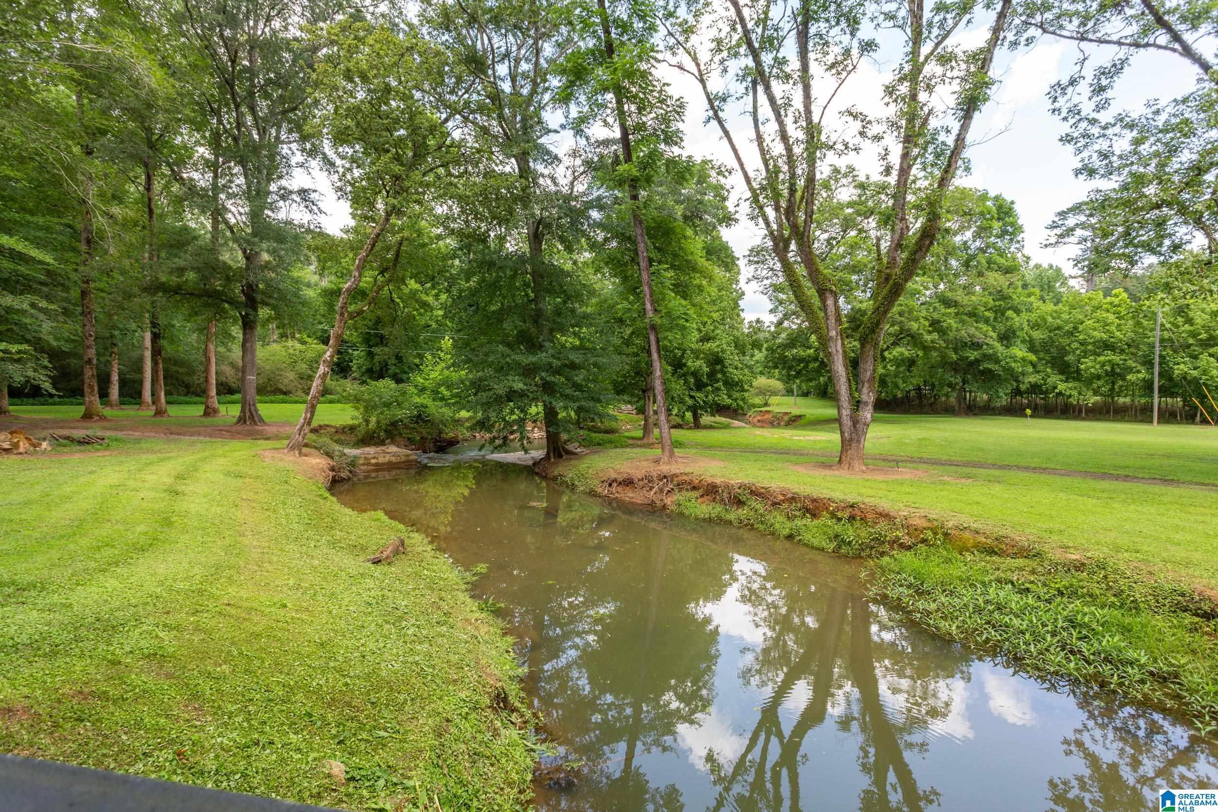 Property Photo: 1250 Old Downing Mill Road AL 36207