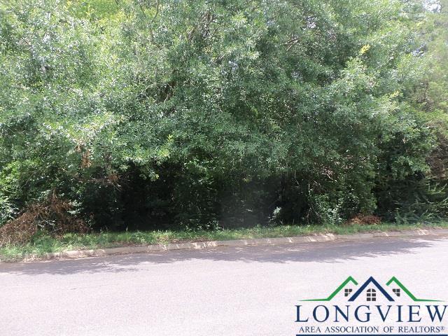 Property Photo: 3411 Larkspur Lane TX 75662-2738