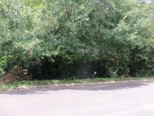 Property Photo: 3411 Larkspur Lane TX 75662-2738