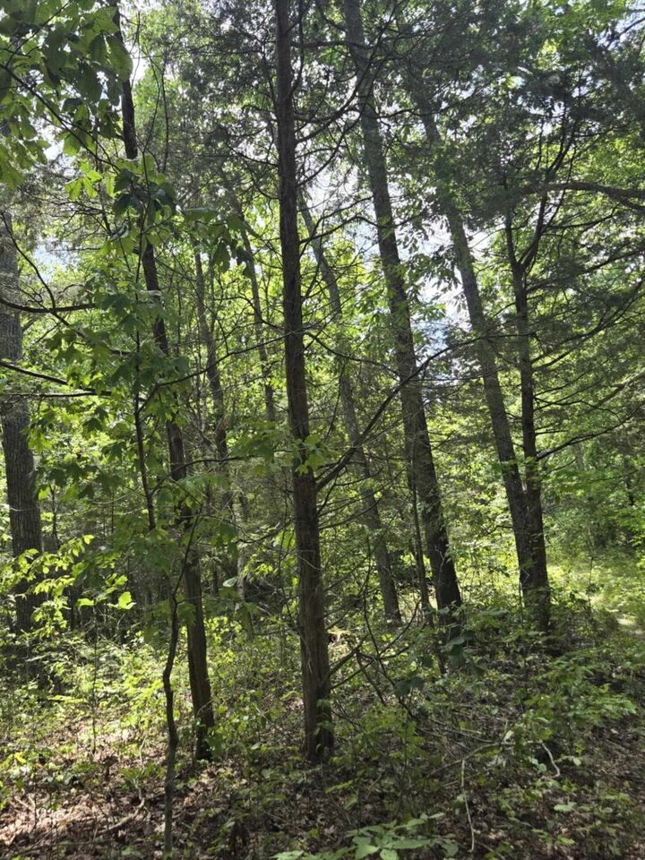Property Photo: 2607 Royalty Ridge Road KY 40078