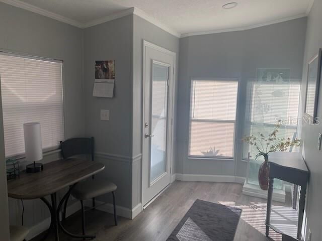 Property Photo: 417 Dolphin Drive S FL 34677