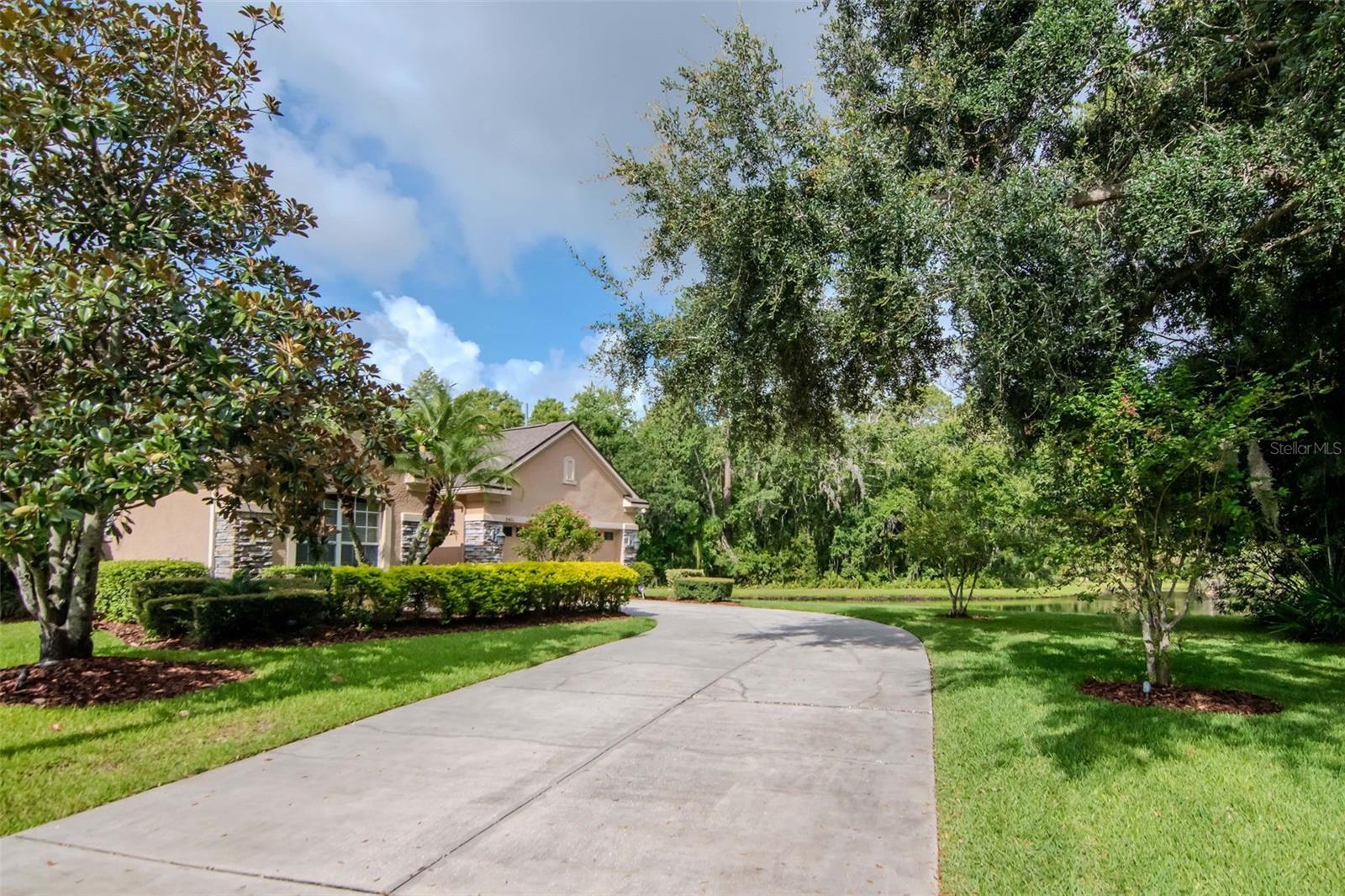 9401 Greenpointe Drive  Tampa FL 33626 photo
