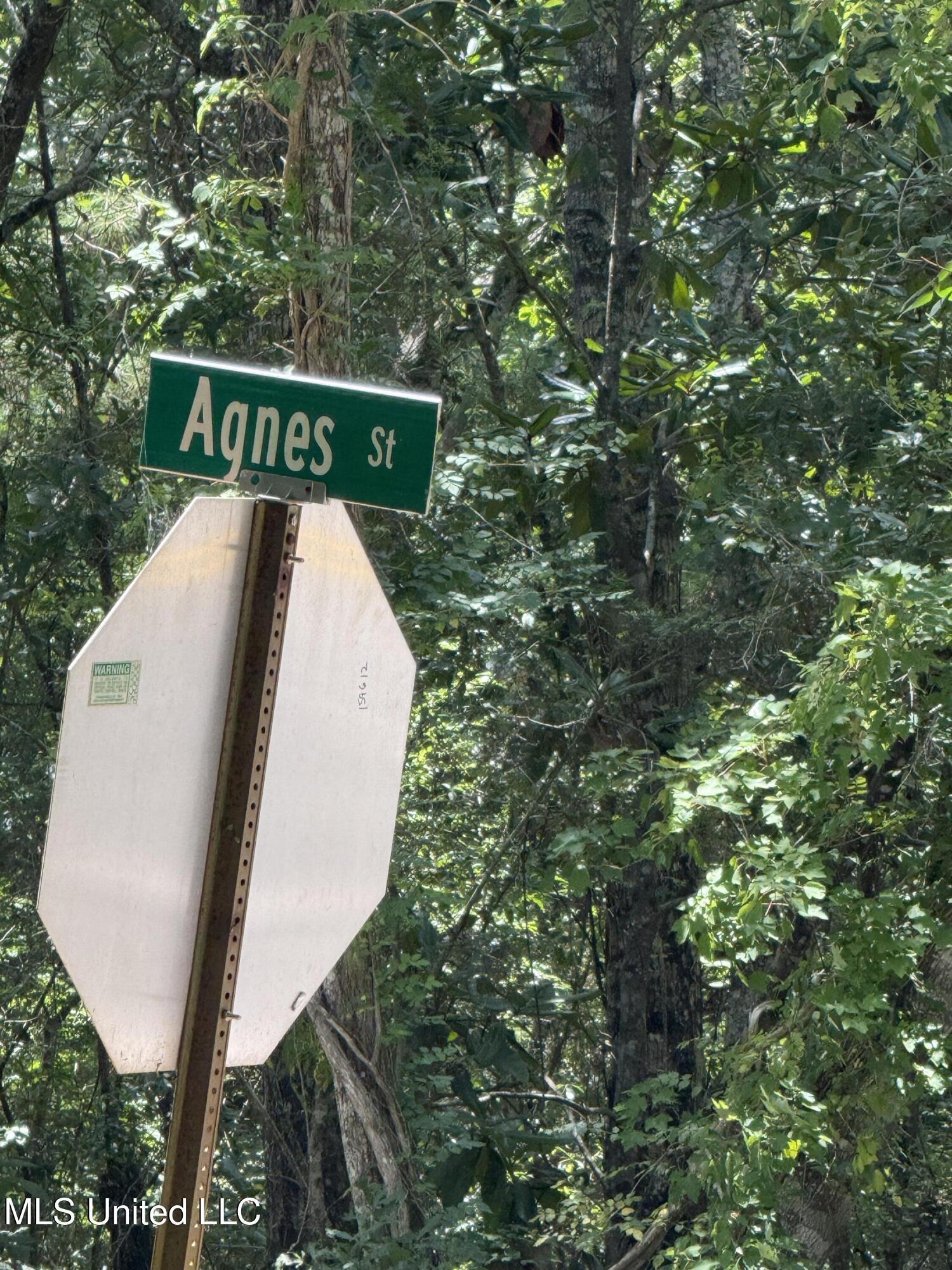 Property Photo:  Nhn North St Lot 4  MS 39564 
