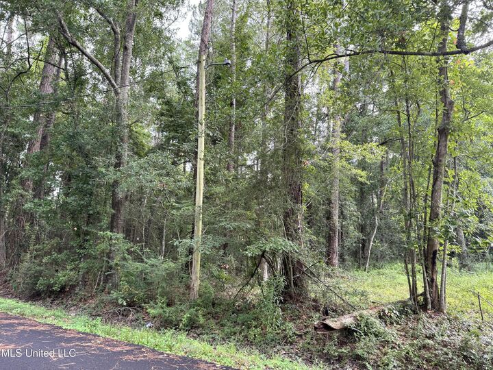 - River Music Drive  Gautier MS 39553 photo