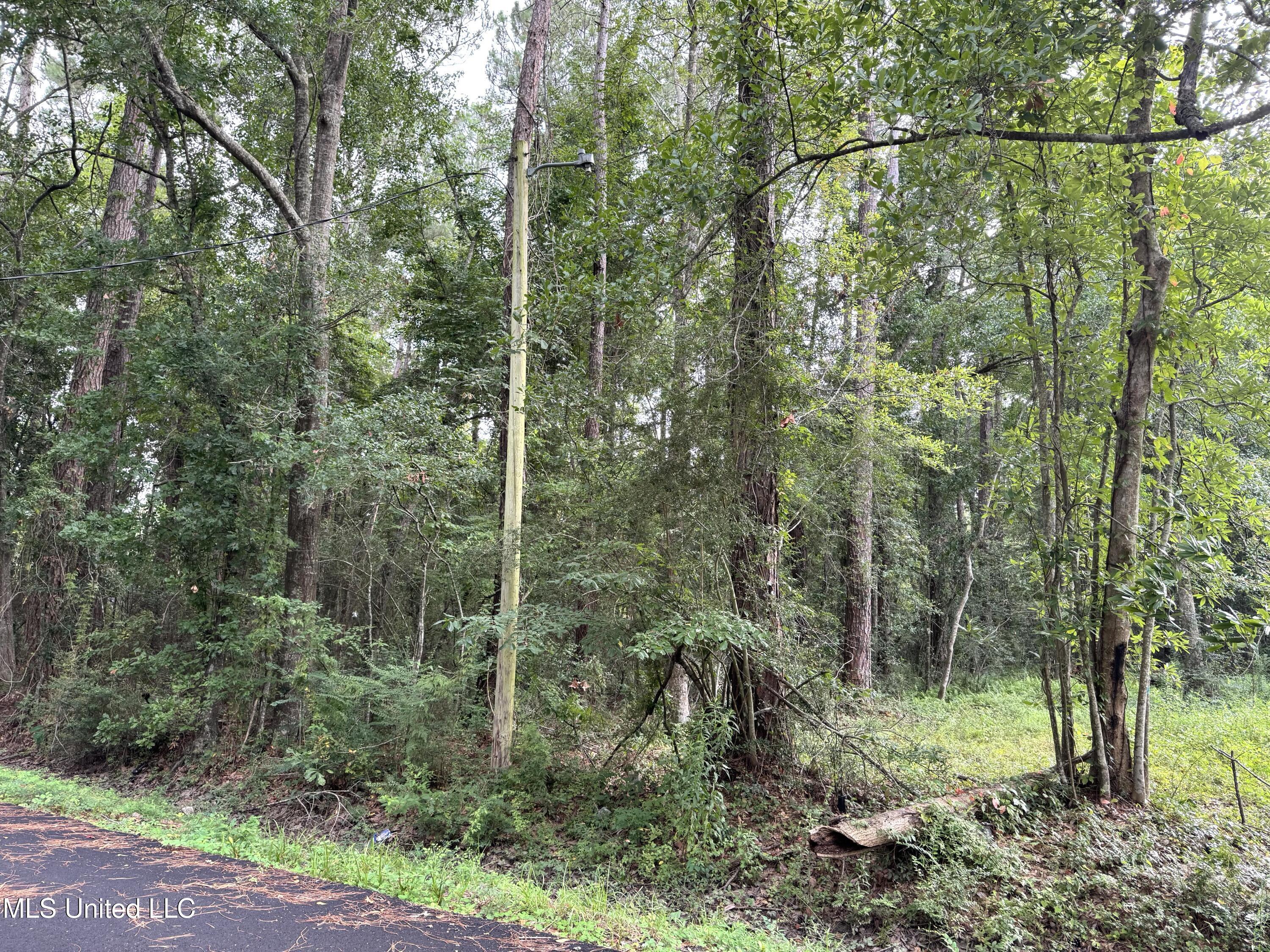 Property Photo: - River Music Drive MS 39553