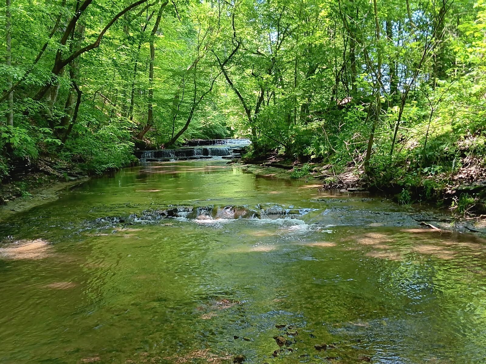 Property Photo: 2073 Choates Creek Rd TN 38464