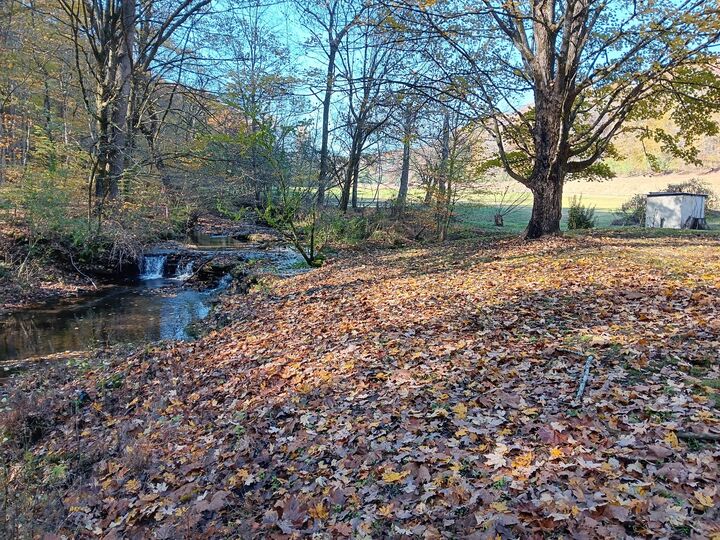 Property Photo: 2073 Choates Creek Rd TN 38464