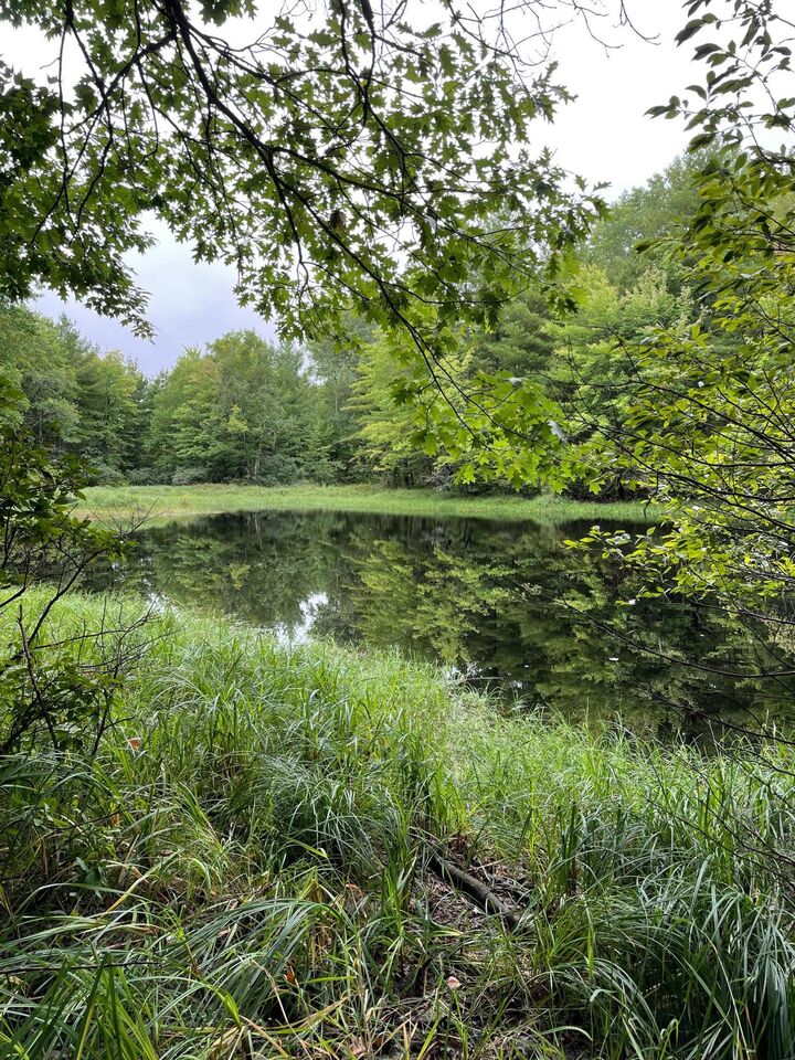 Property Photo:  12207 E Railroad Road  WI 54849 