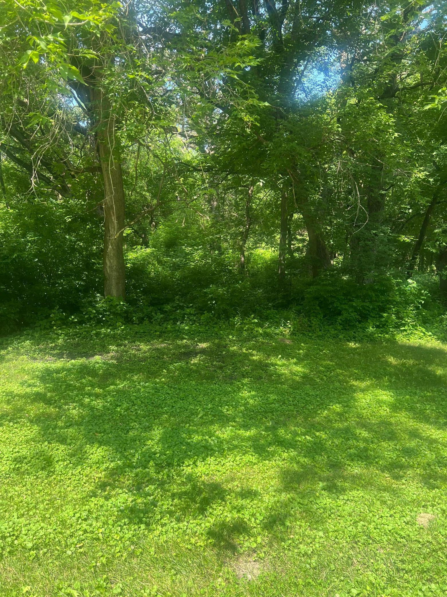 Property Photo: Tbd Lot 1 Envelope 1 Baycrest Road MN 56334