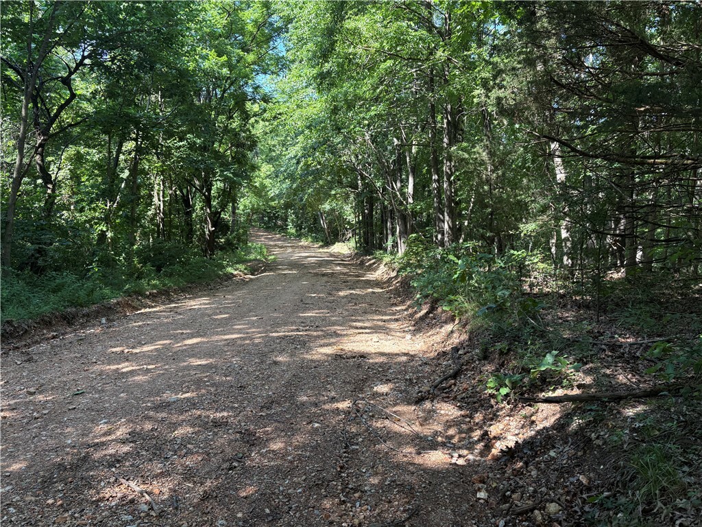 Property Photo:  Arabian Drive Lot 184  AR 72756 