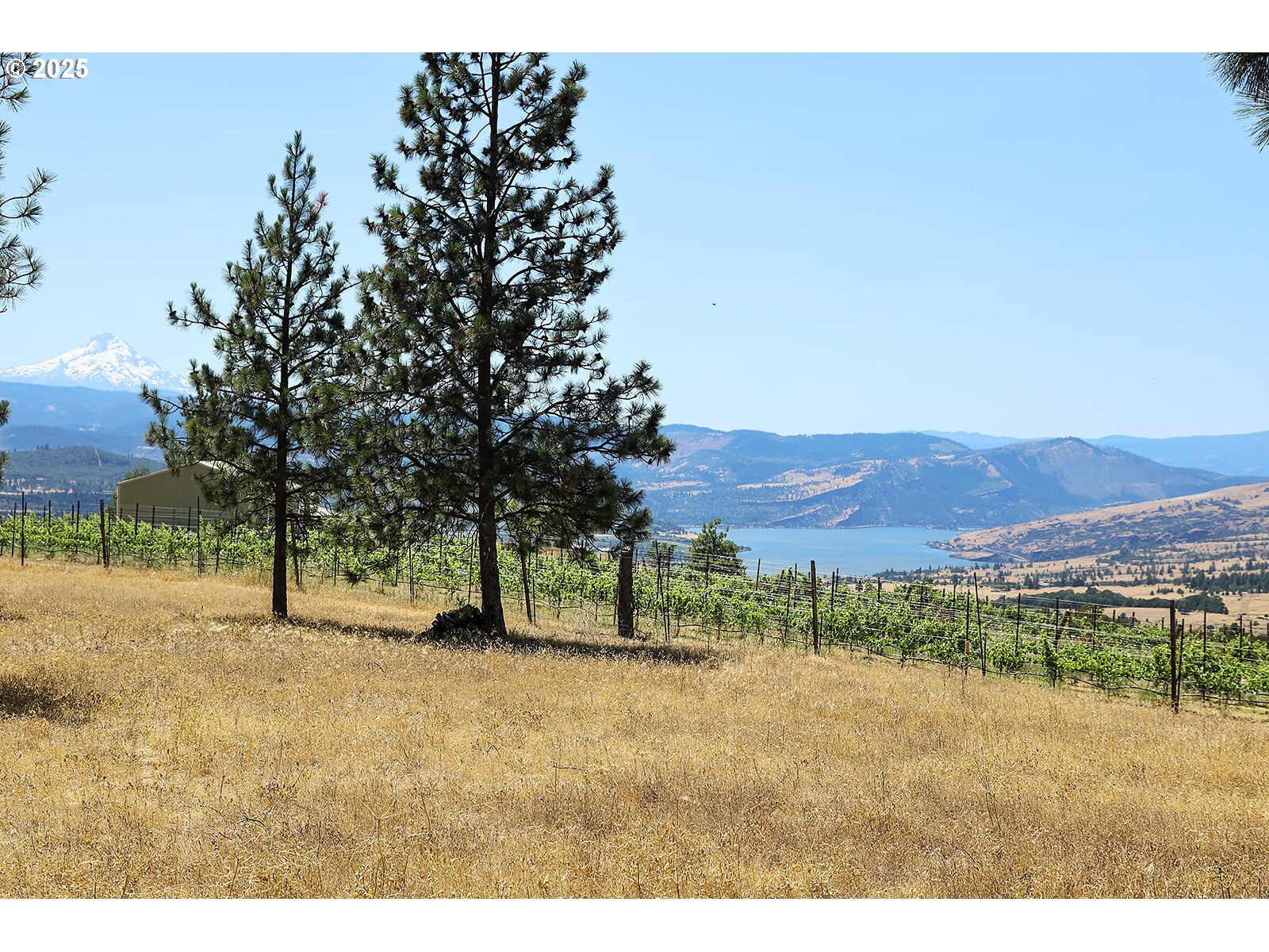 Property Photo: 4 Murdock Rd WA 98635