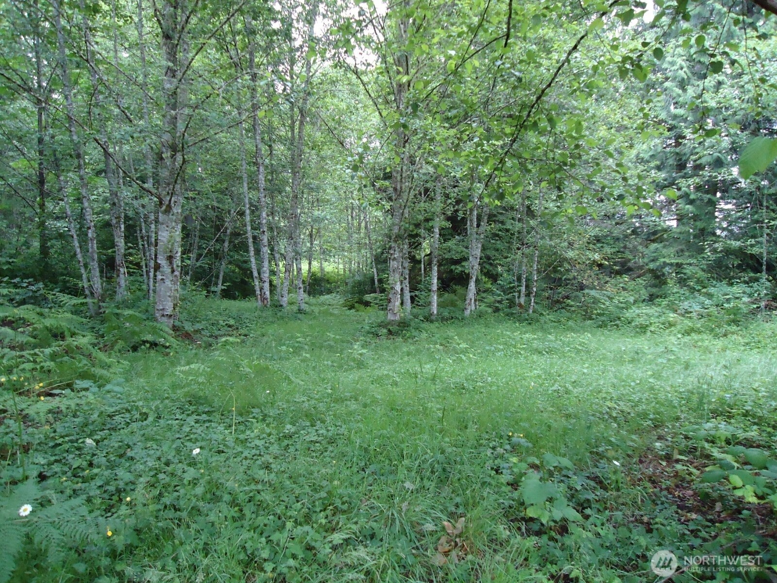 Property Photo:  10103  Hornbeck Drive  WA 98237 