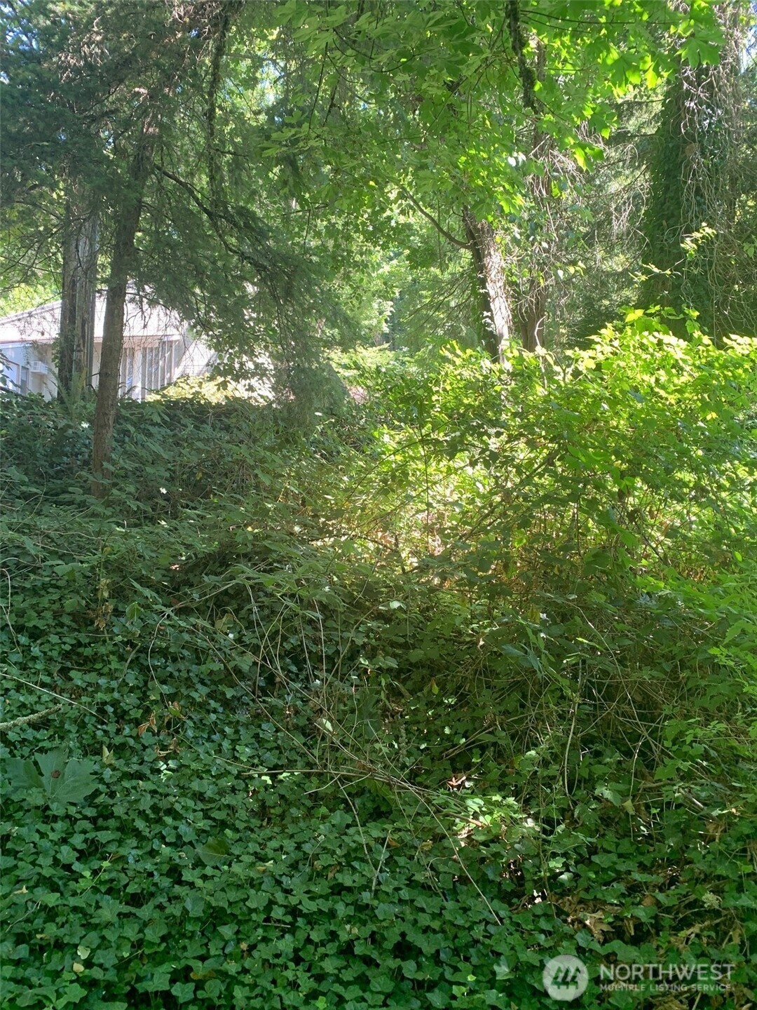 Property Photo: 9167 SE 64th Street WA 98040