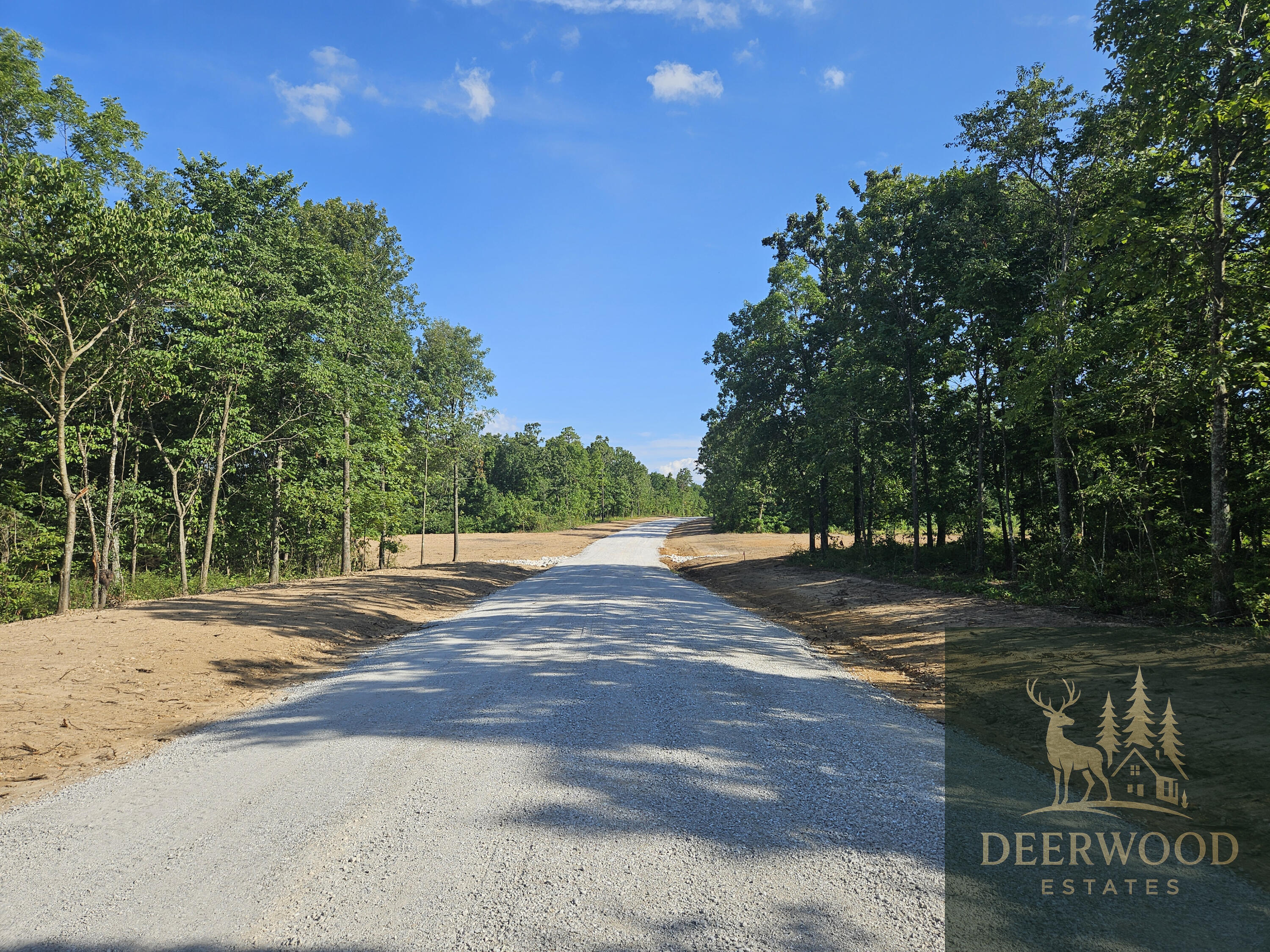 Lot 7 Deerwood Estates  Aurora MO 65605 photo
