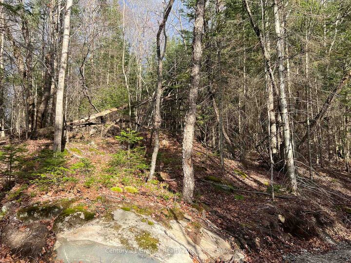 Photo de la propriété:  Lot 27 Bushwolf Lake Road  ON K0M 1S0