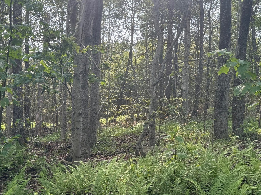 Property Photo: 264 E Bosket Road NY 13865