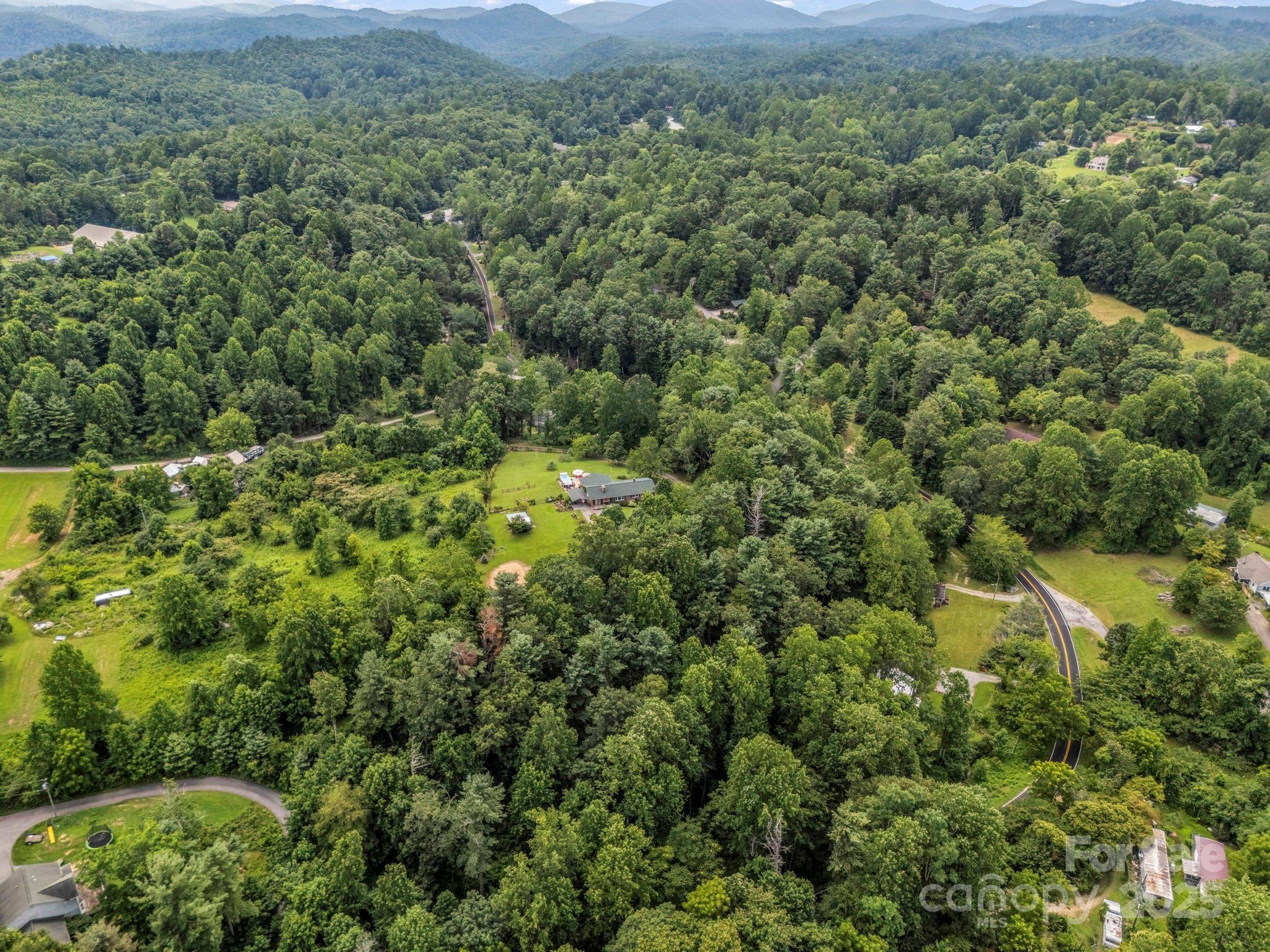 Property Photo:  61 Overbrook Drive  NC 28773 