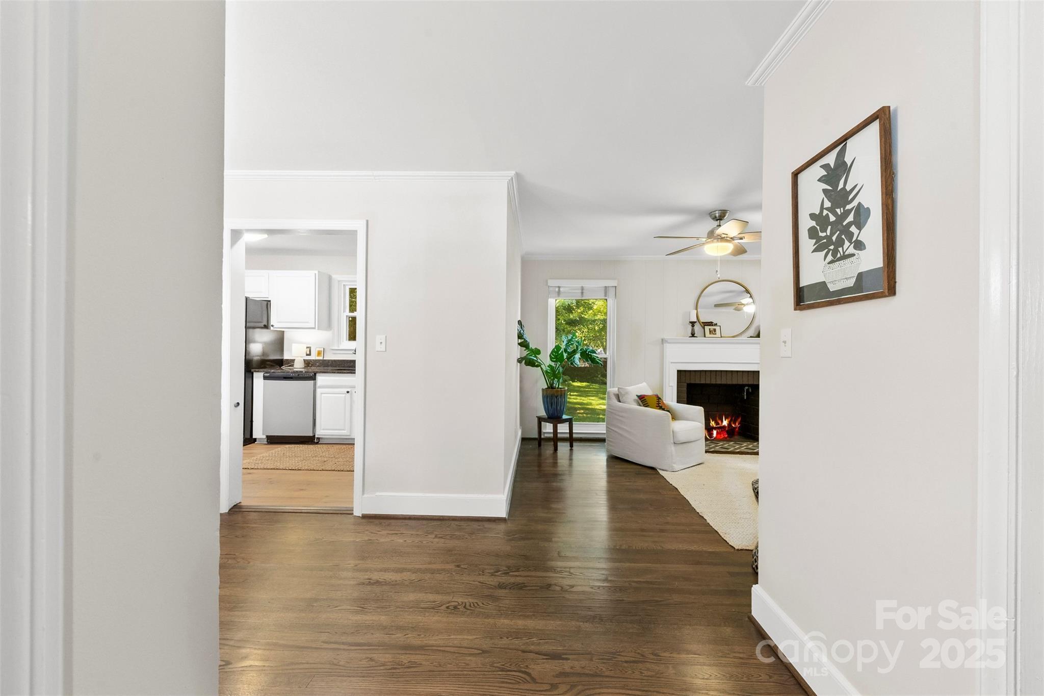 Property Photo: 1126 E Woodlawn Road NC 28209