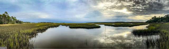 Property Photo: V/L 77 Heron Point Lane GA 31569