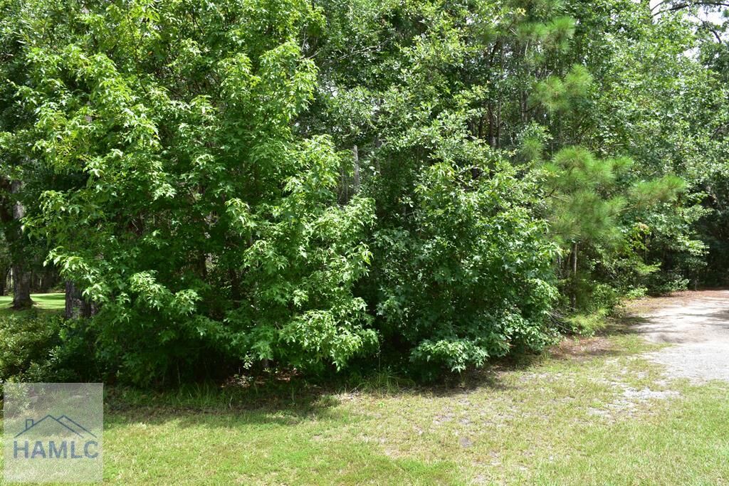 Property Photo:  Lot 34 Azalea Drive  GA 31320 