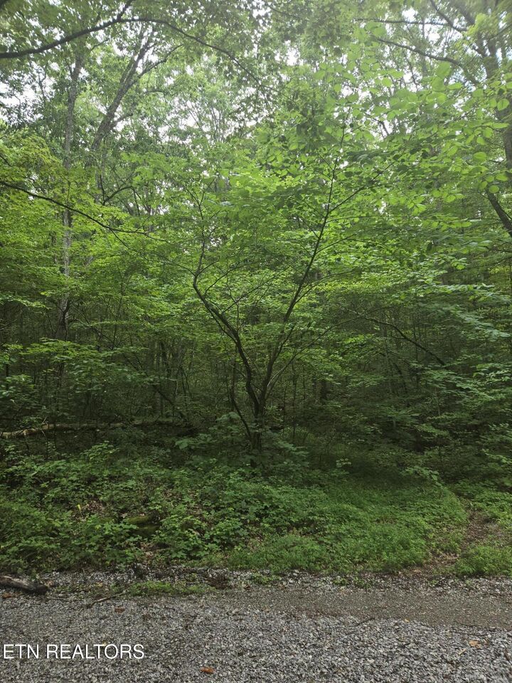 Property Photo: Prospect Rd TN 37869