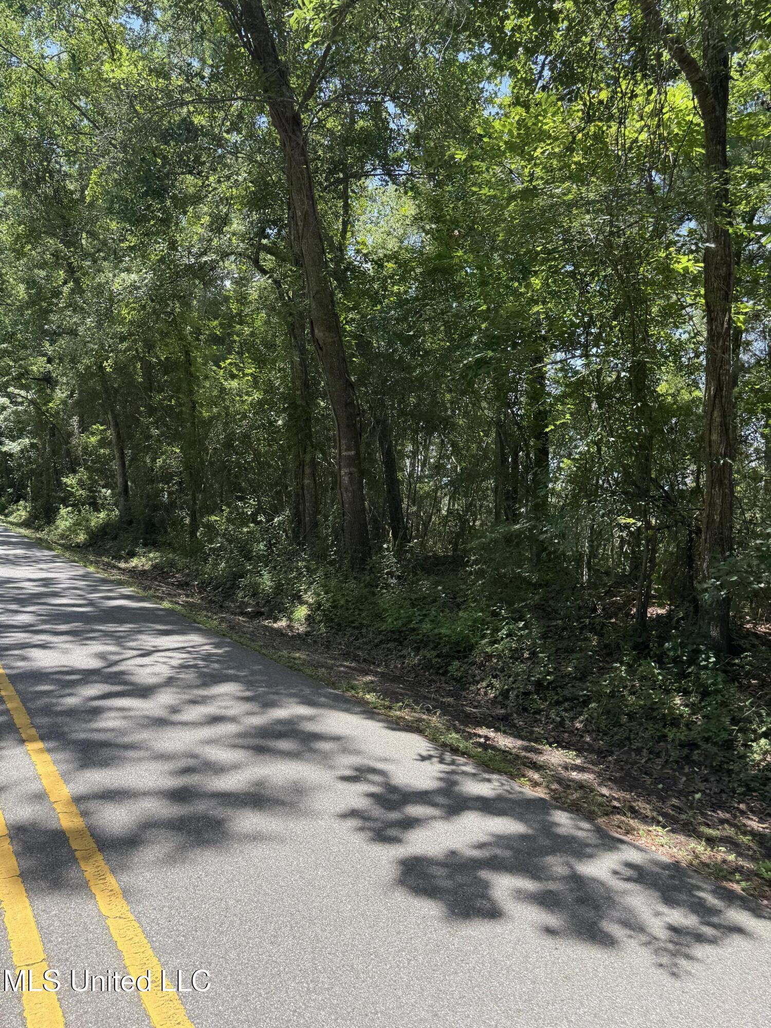 Property Photo: Nhn North St Lot 9 MS 39564